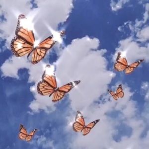 Meet your Posher, Casady